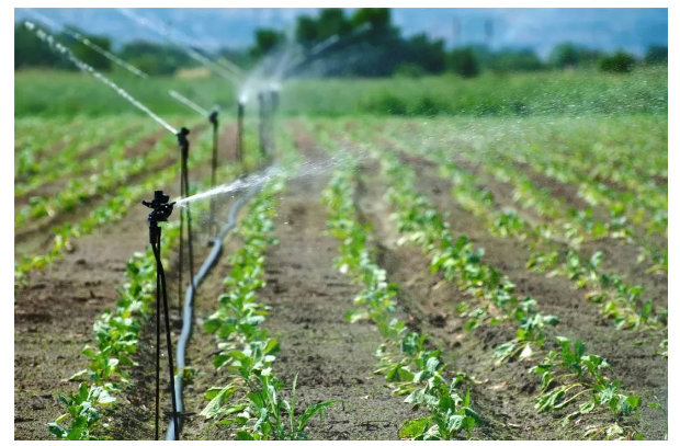 水质保卫战 | 农业面源污染治理中水质监测设备的使用(图2)